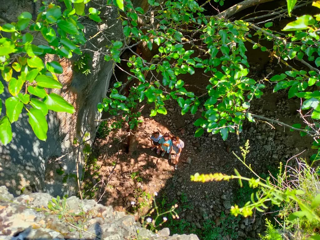 Cave with Tree