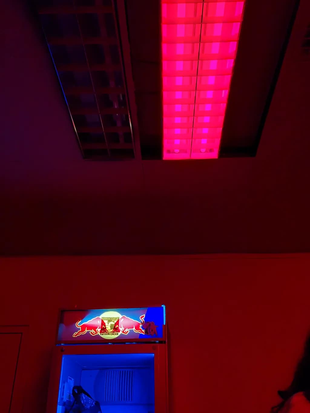 Neon Chill