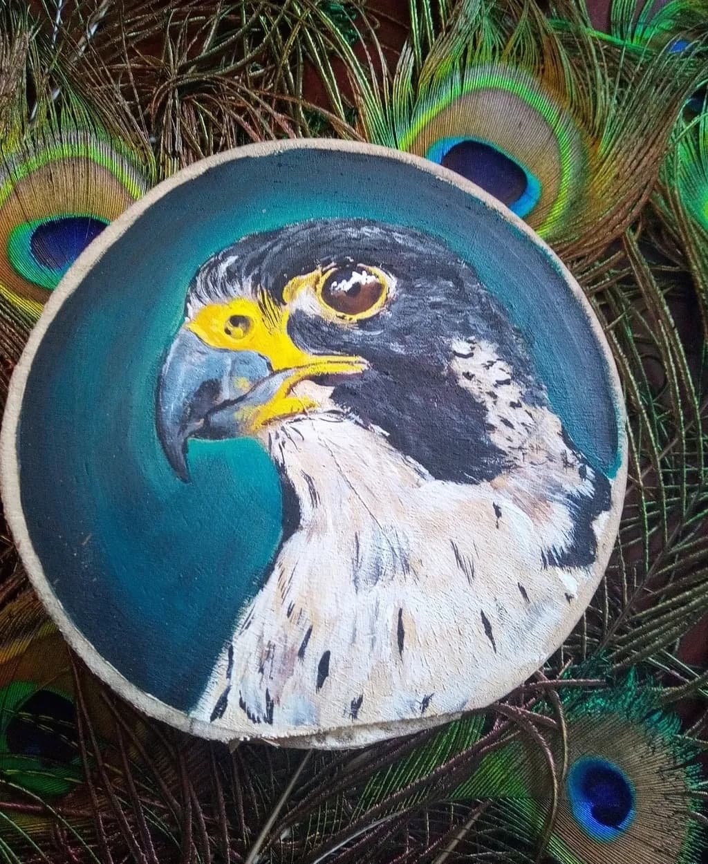 Falcon Portrait