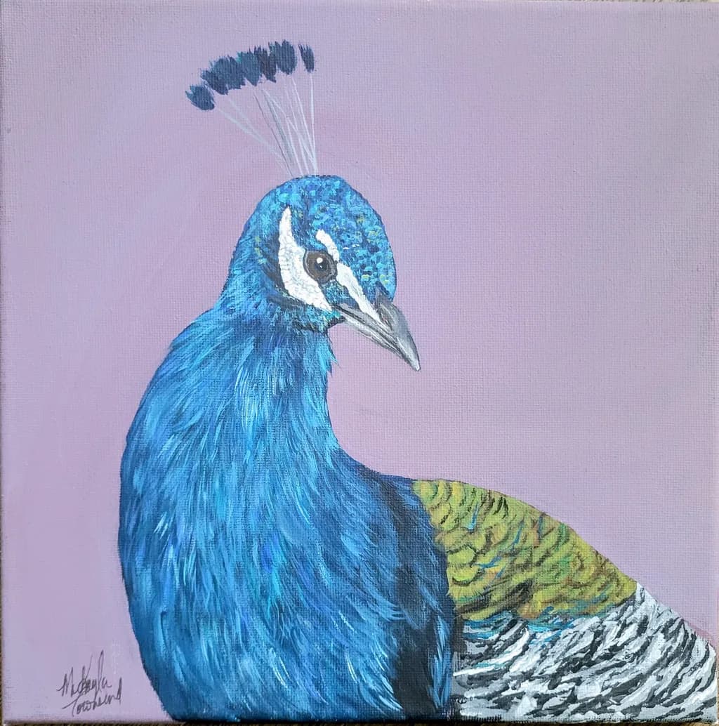 Blue Peacock Portrait