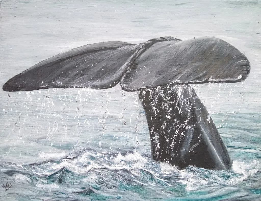 Whale's Tail Splash
