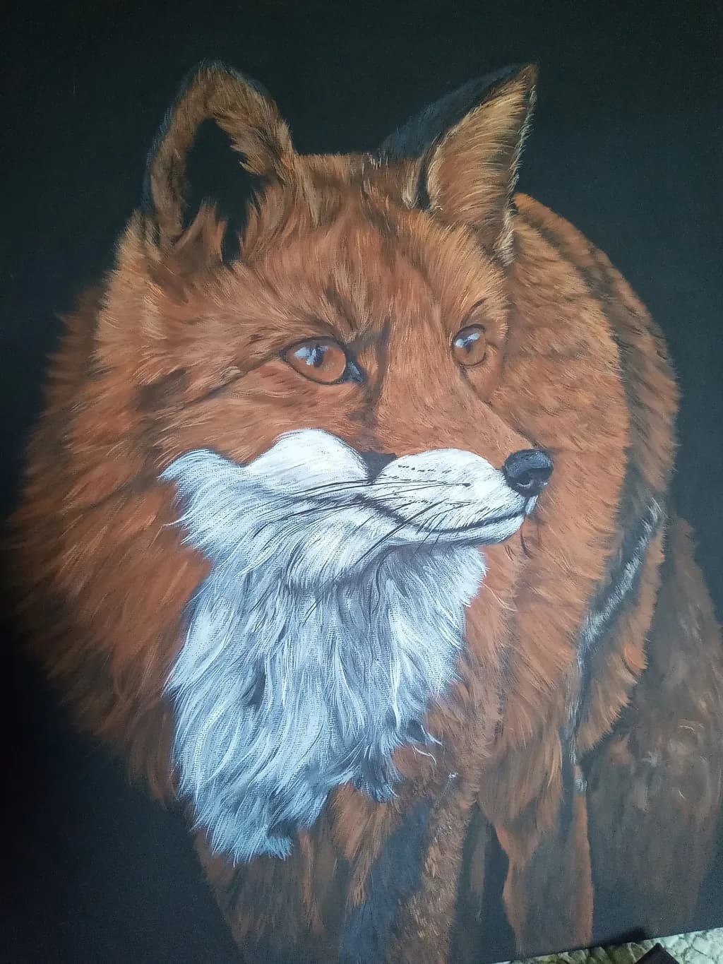 Contemplative Fox