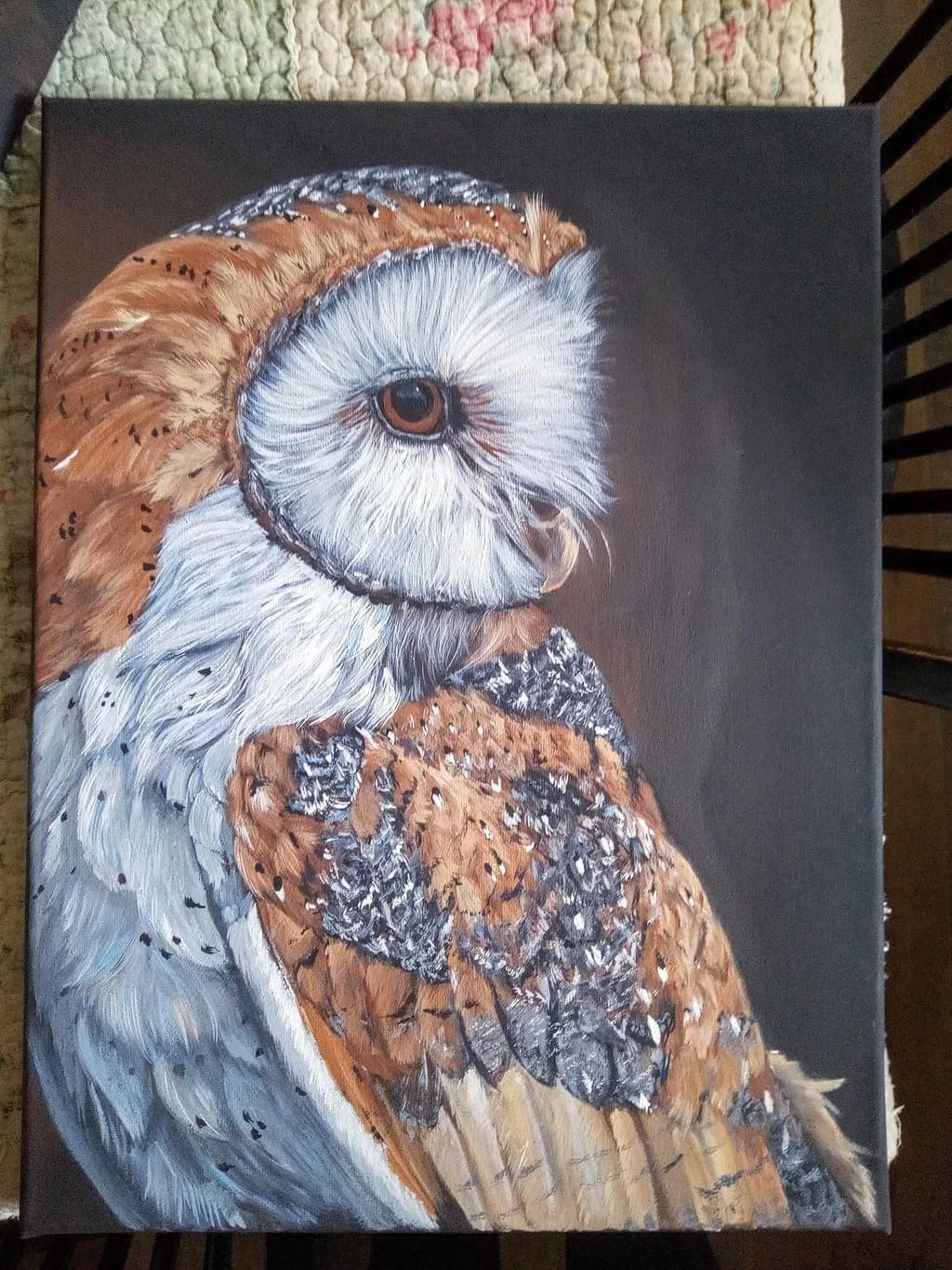 Barn Owl Majesty