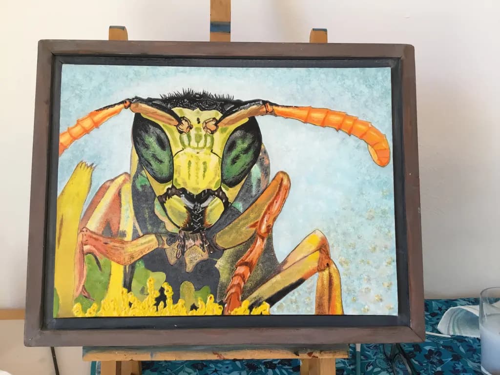 Vibrant Intricacies: The Majesty of Nature's Insect World