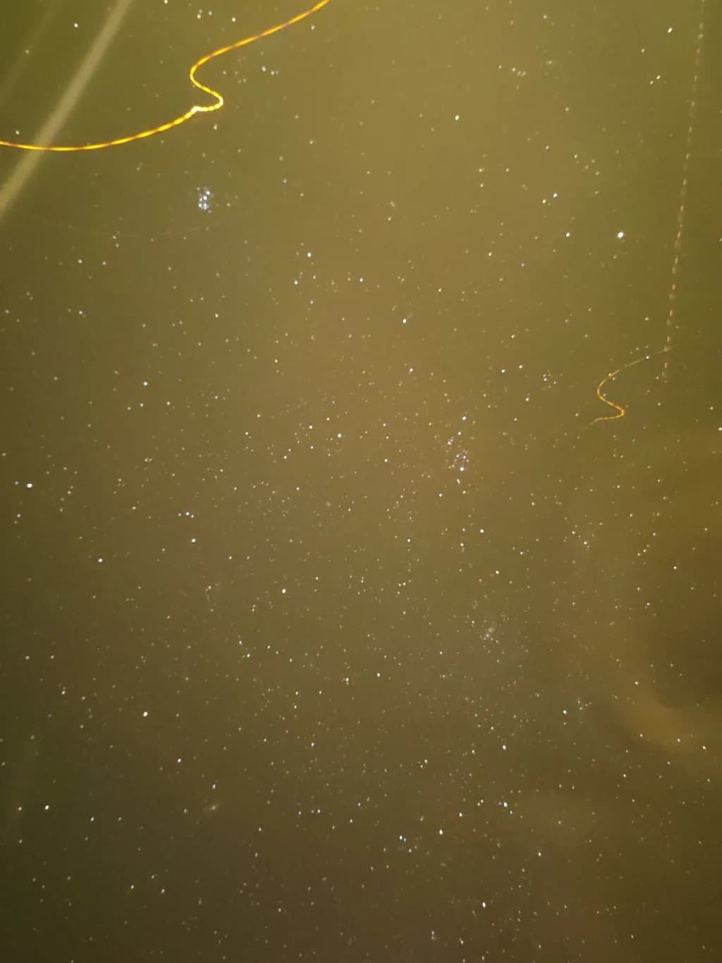 Celestial Whispers: A Journey Through the Starry Night Sky