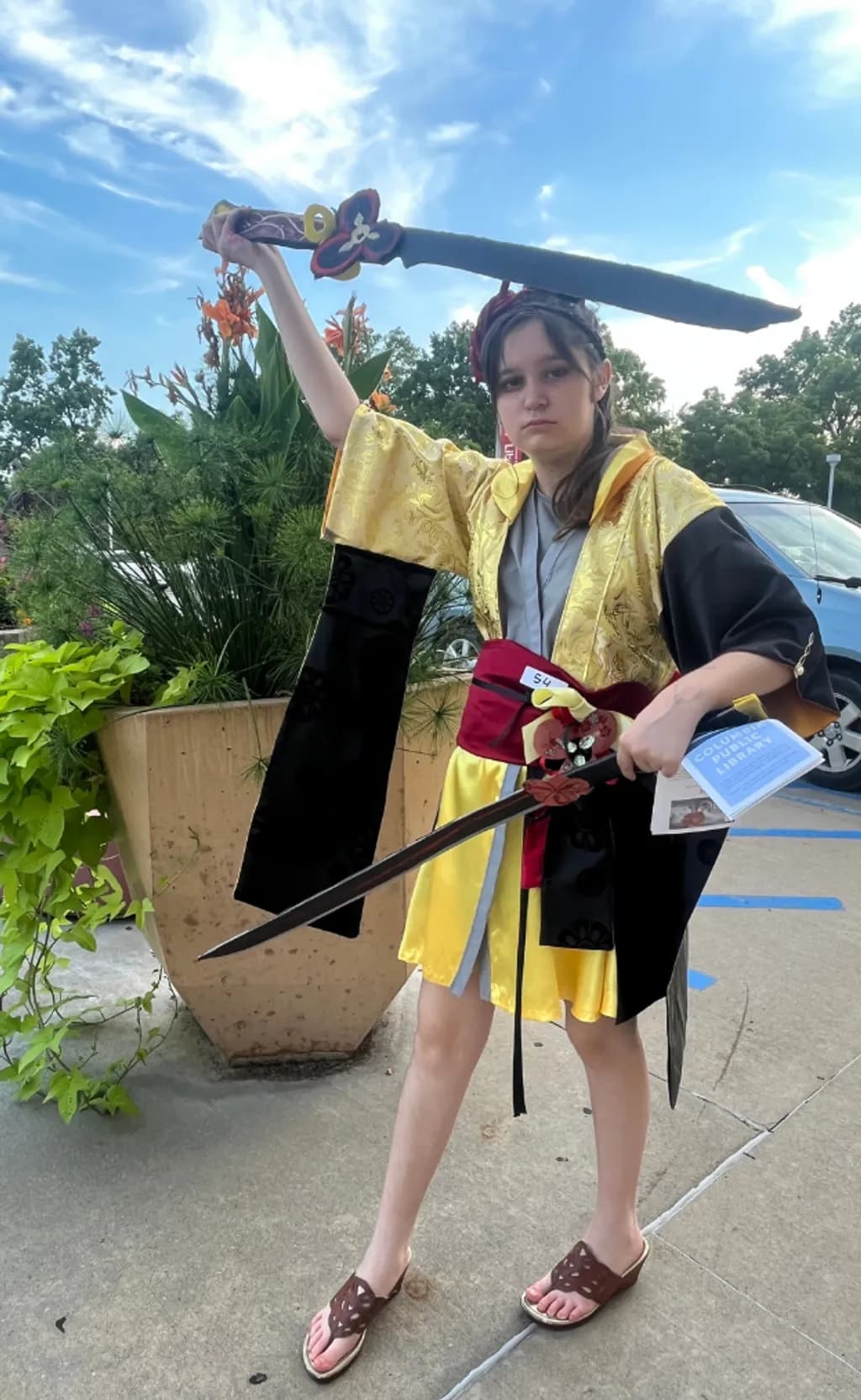 Sword in the Summer Sky