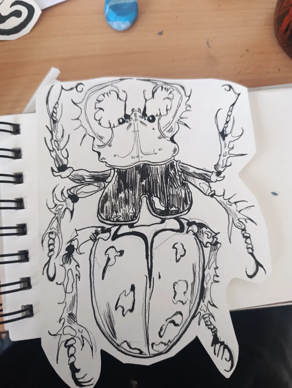 Intricate Insect: A Bold Exploration of Beetle Anatomy