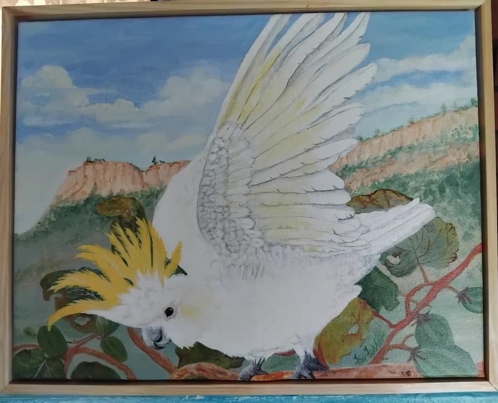 Cockatoo in Flight