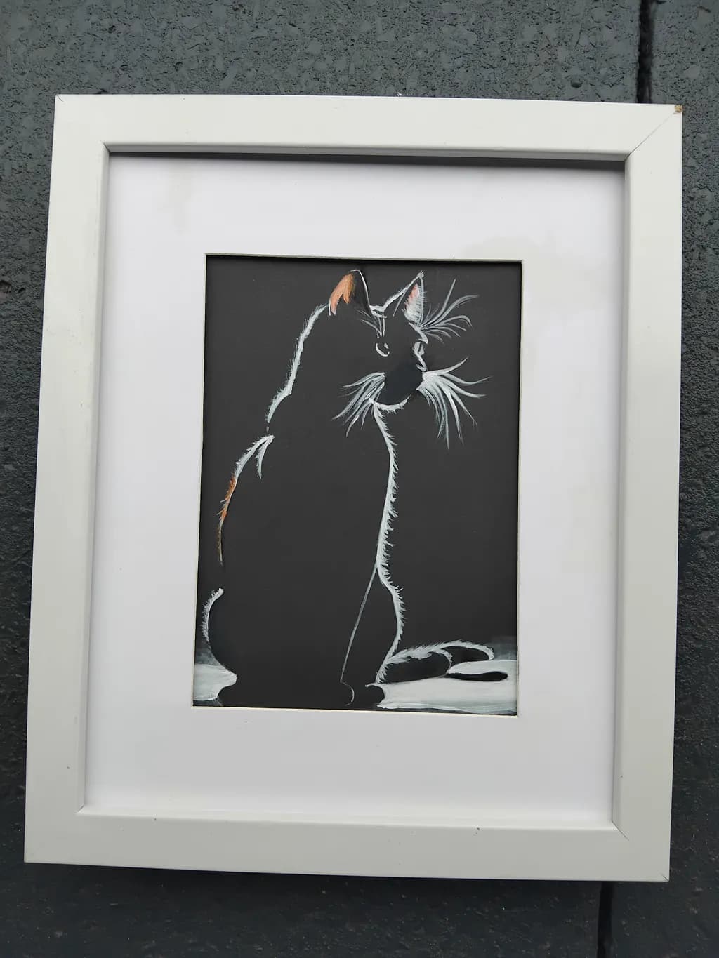 Shadowed Whiskers