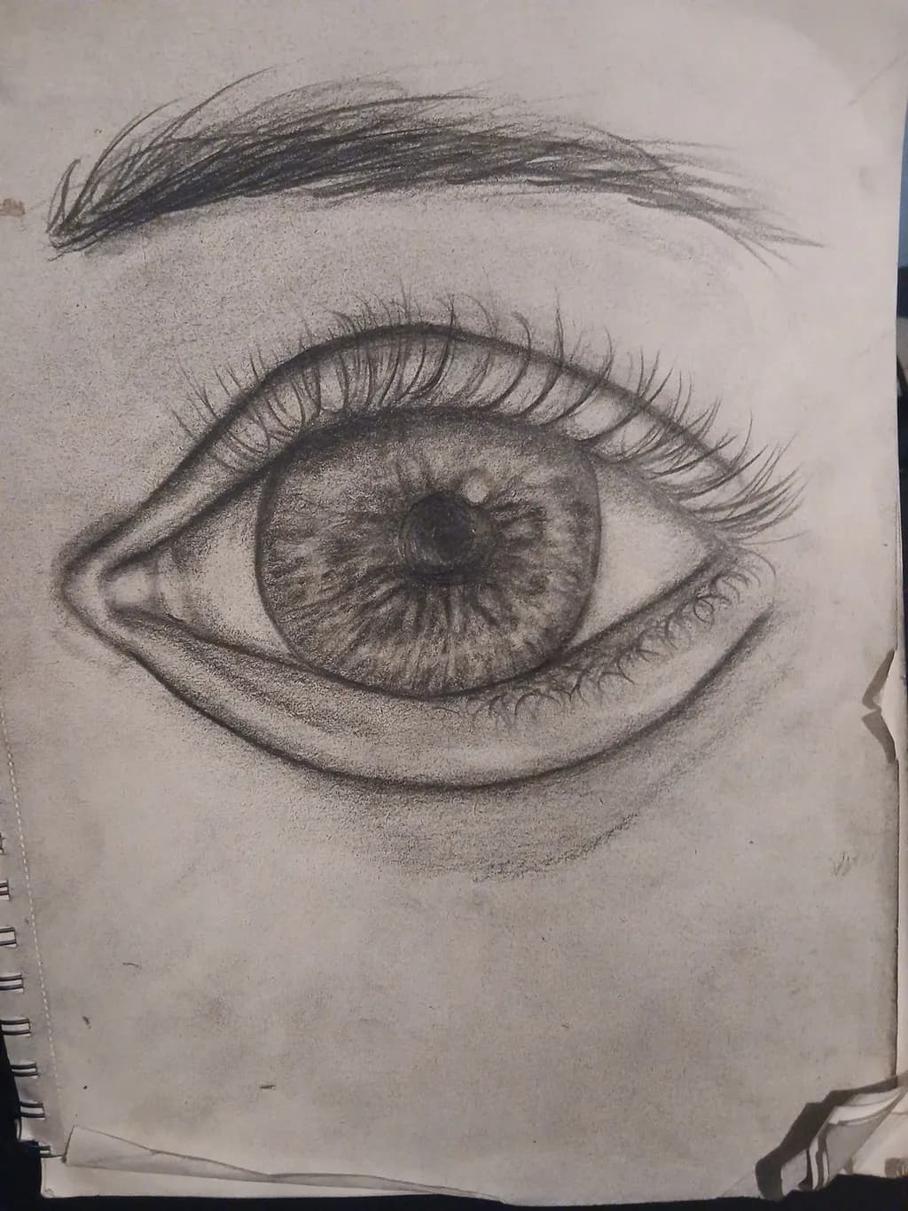 Captivating Gaze: A Realistic Eye Sketch in Charcoal Detail