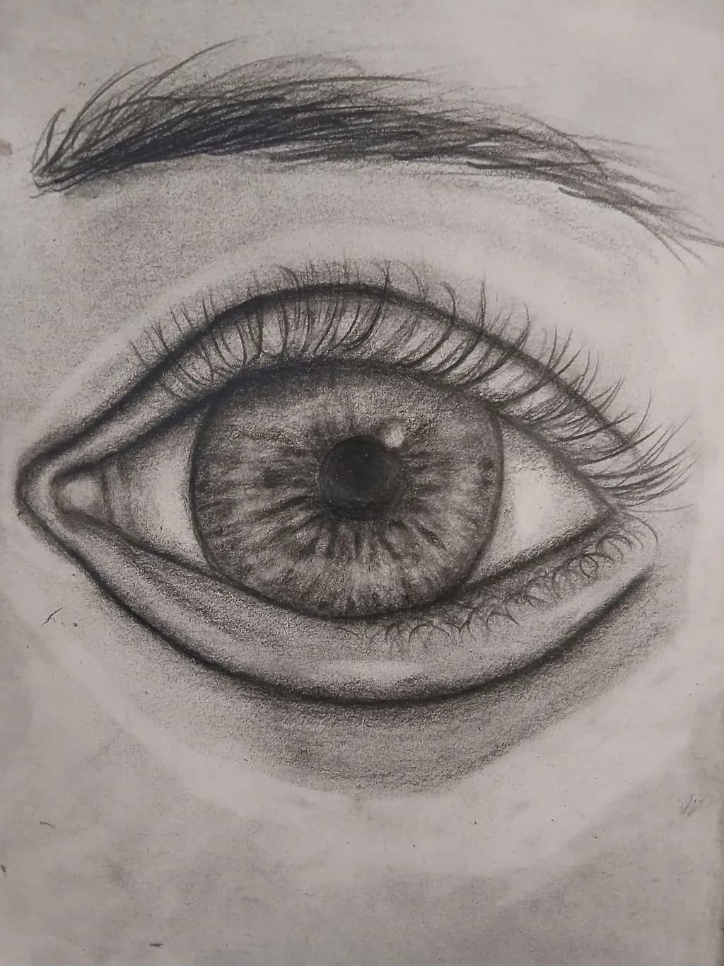 Gaze of Intrigue: A Charcoal Study of the Human Eye