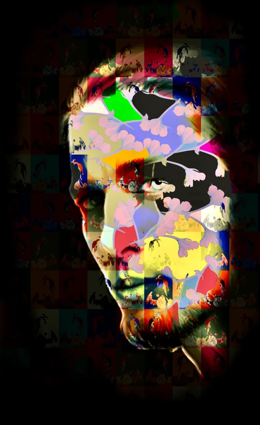 Fragmented Reflections