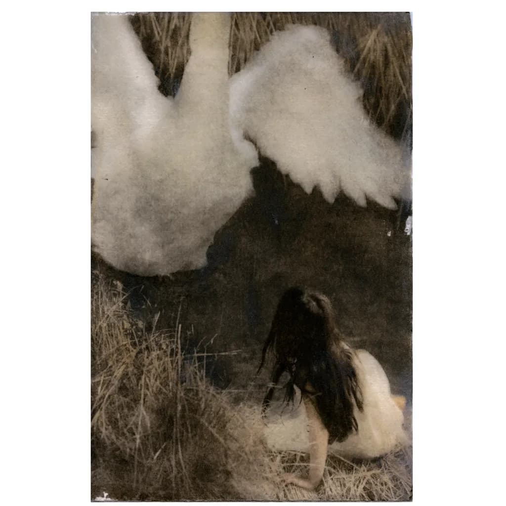 Whispers of Solitude: A Dreamy Encounter with Nature's Grace