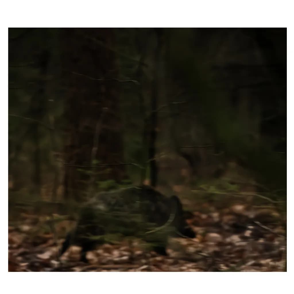 Whispers of the Forest: A Shadowed Encounter with Nature's Wild Heart