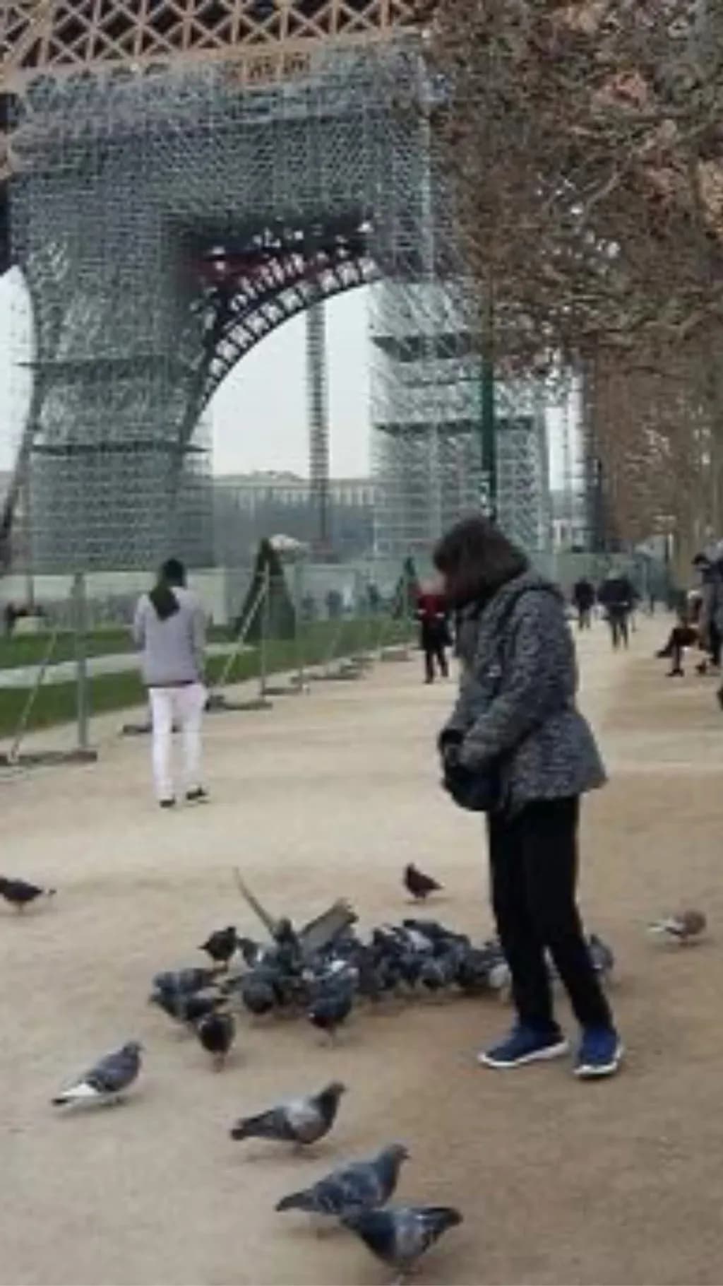 Feeding Pigeons by the Eiffel