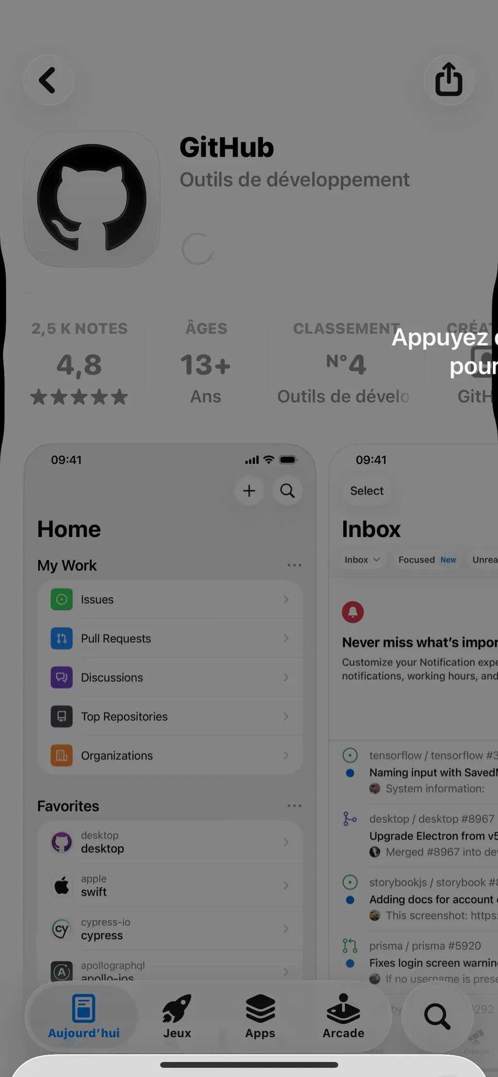 GitHub Interface Snapshot