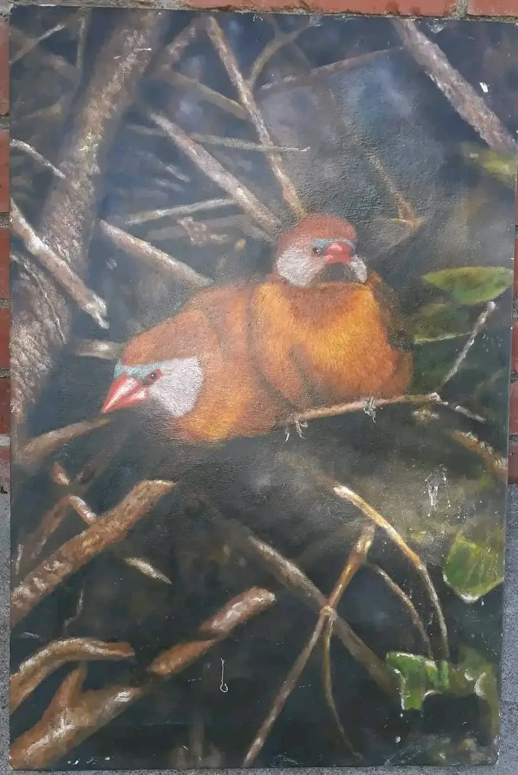 Whispers of Nature: A Serene Encounter with Colorful Birds Amongst the Branches