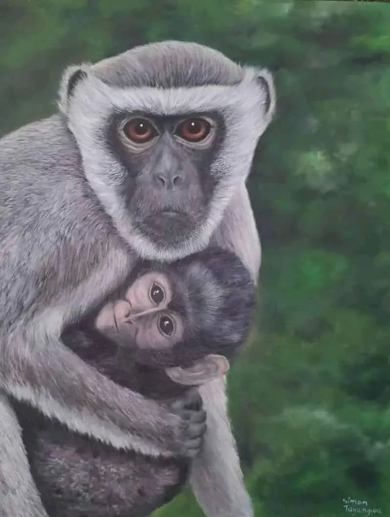 Emotional Bond: A Portrait of Monkey Parenting in Nature