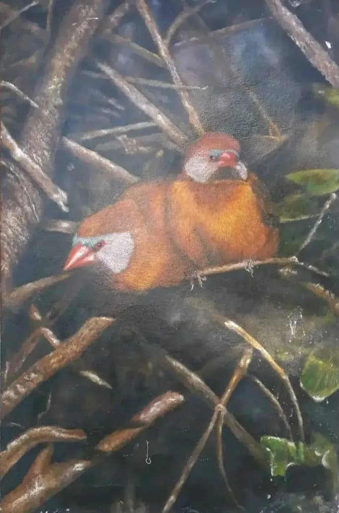 Whispers of the Wild: A Colorful Encounter with Nature's Feathered Friends
