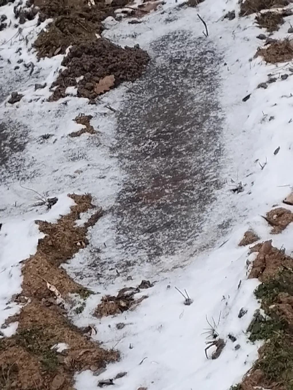 Frozen Pathway