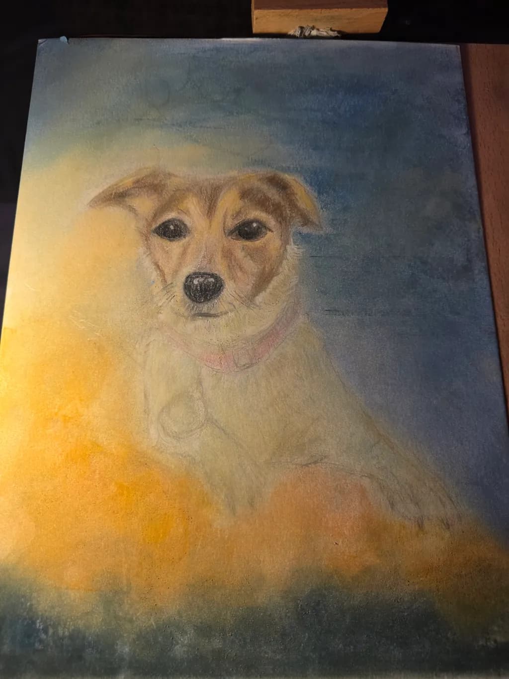 Colorful Canine Portrait