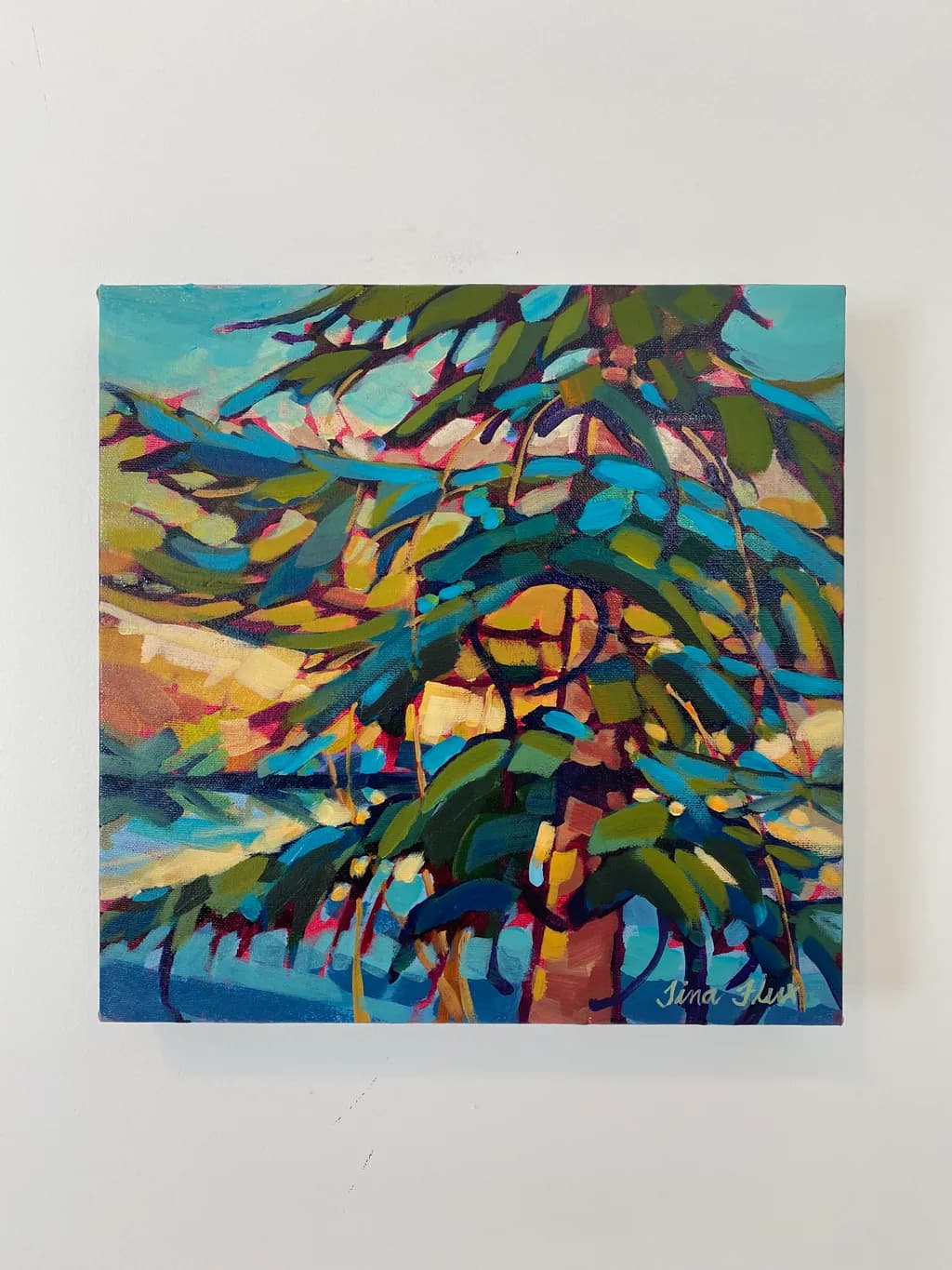 Sunshine Coast Fir