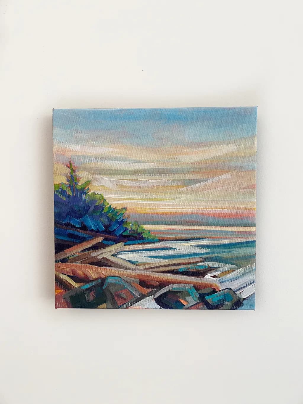Driftwood Coastline