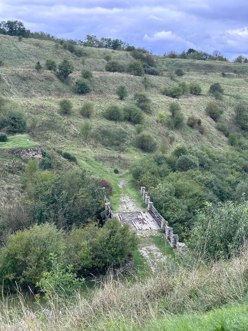 Whispers of Nature: A Forgotten Pathway Through the Hills