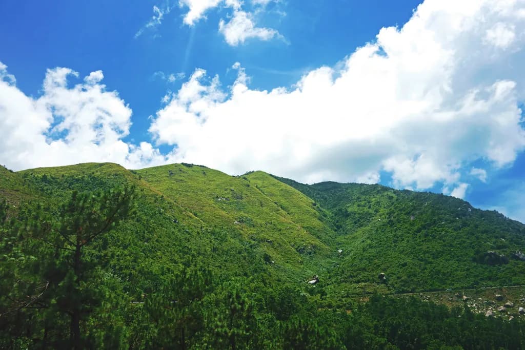 Whispers of Green: A Serene Mountain Landscape Under a Vast Blue Sky