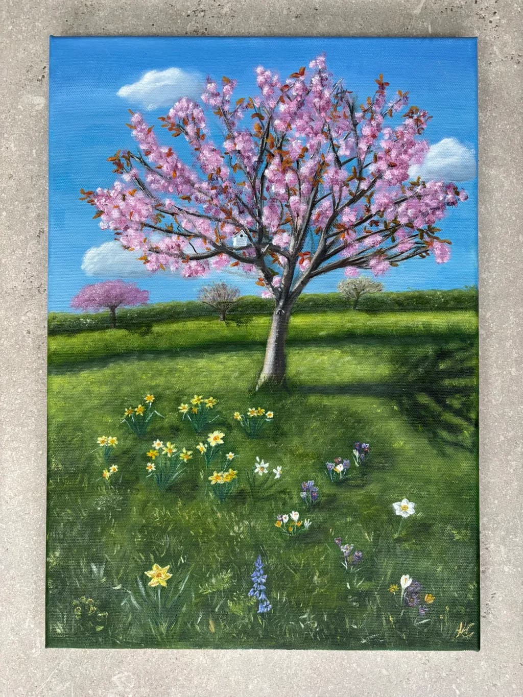 Spring Blossom Meadow