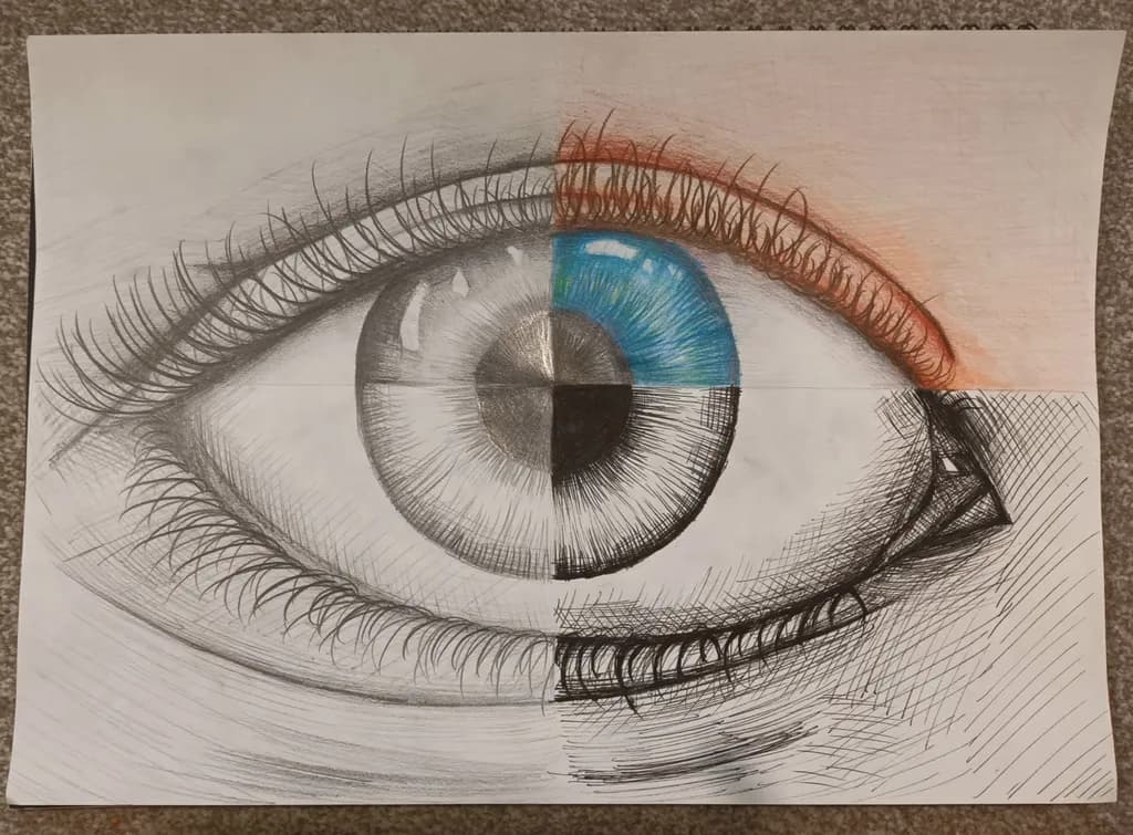 "Reflections of Perception: A Four-Part Eye Study"
