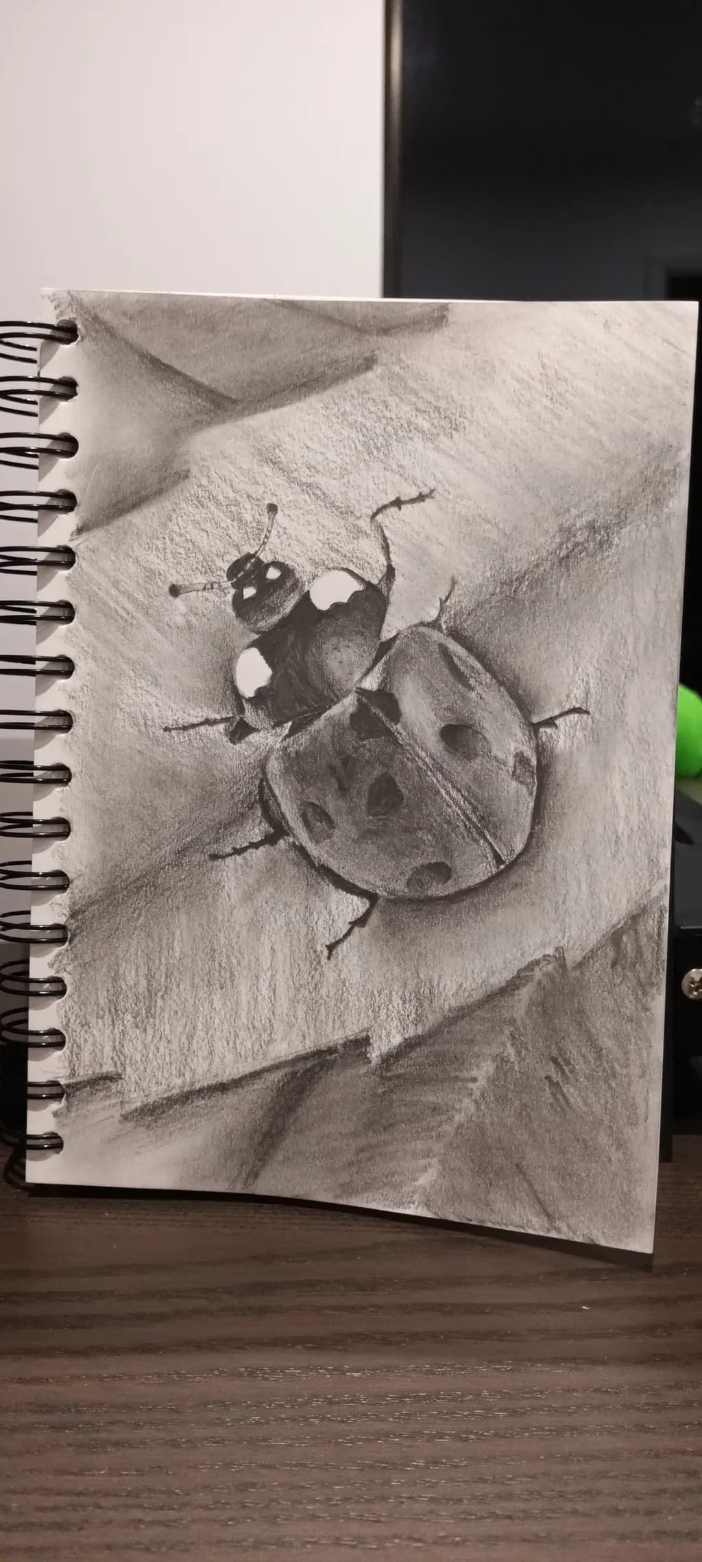Whispers of Nature: A Detailed Study of a Ladybug in Charcoal and Graphite