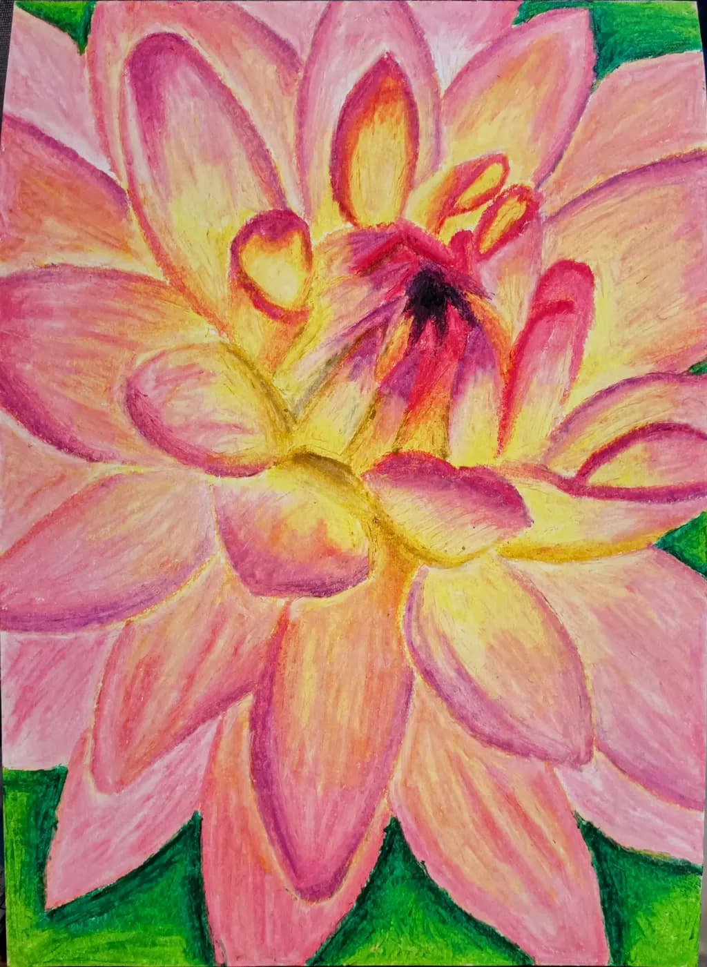 Blossoming Serenity: A Vibrant Pink Lotus in Full Bloom