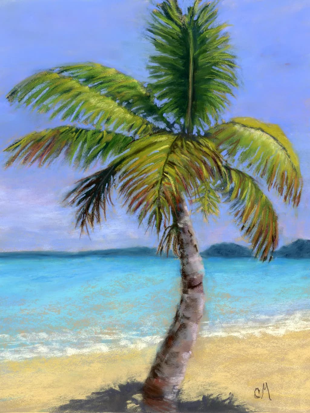 Beach Palm Tree