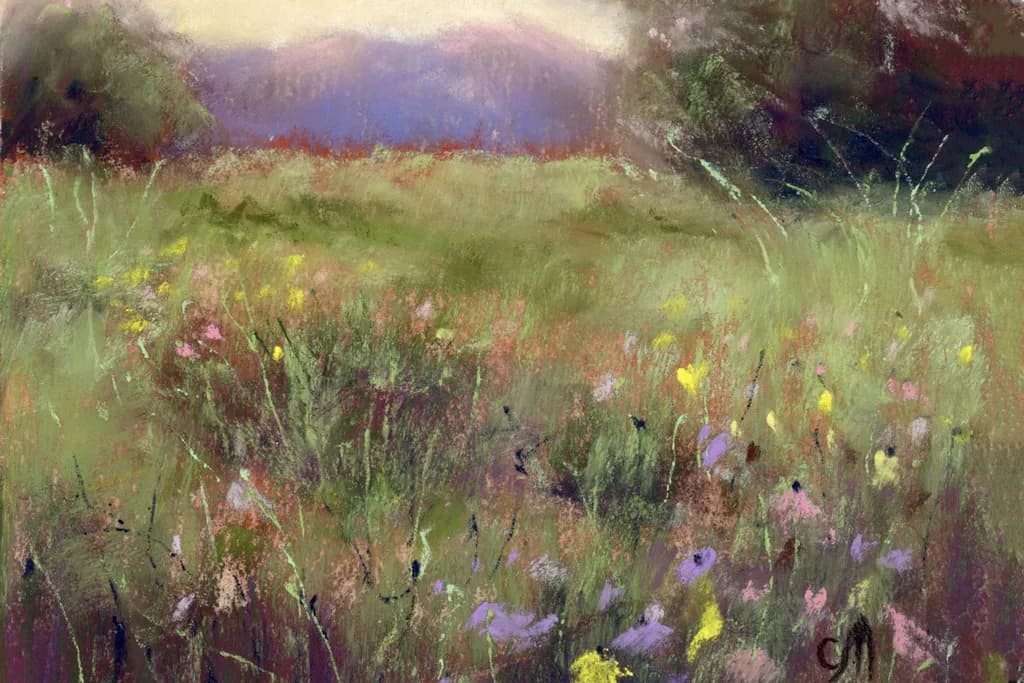 Wildflower Meadow