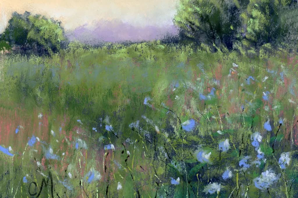 Wildflower Meadow