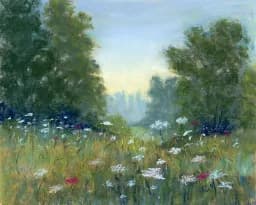 Queen Anne’s Meadow
