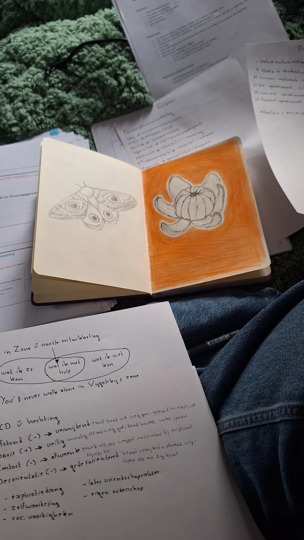 Whispers of Nature: A Sketchbook Journey Through Moths and Blooms