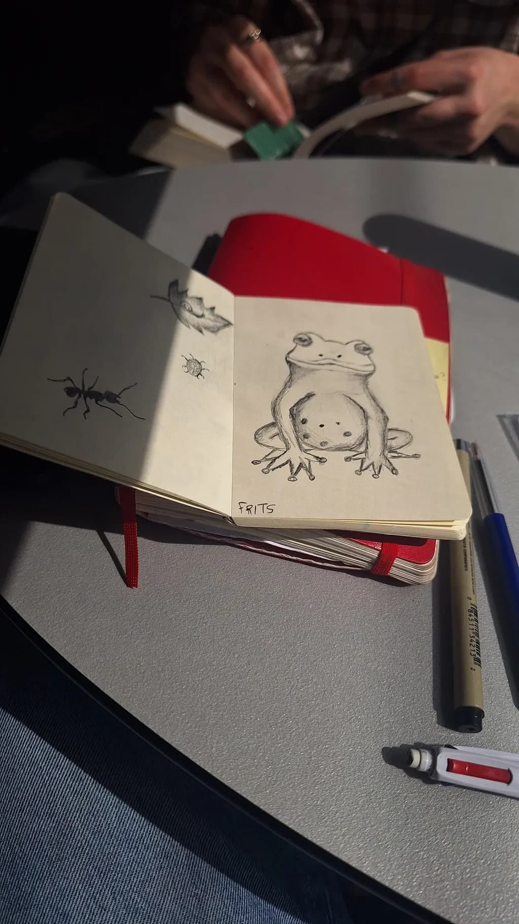 Whimsical Frog Sketch: A Nature-Inspired Notebook Drawing