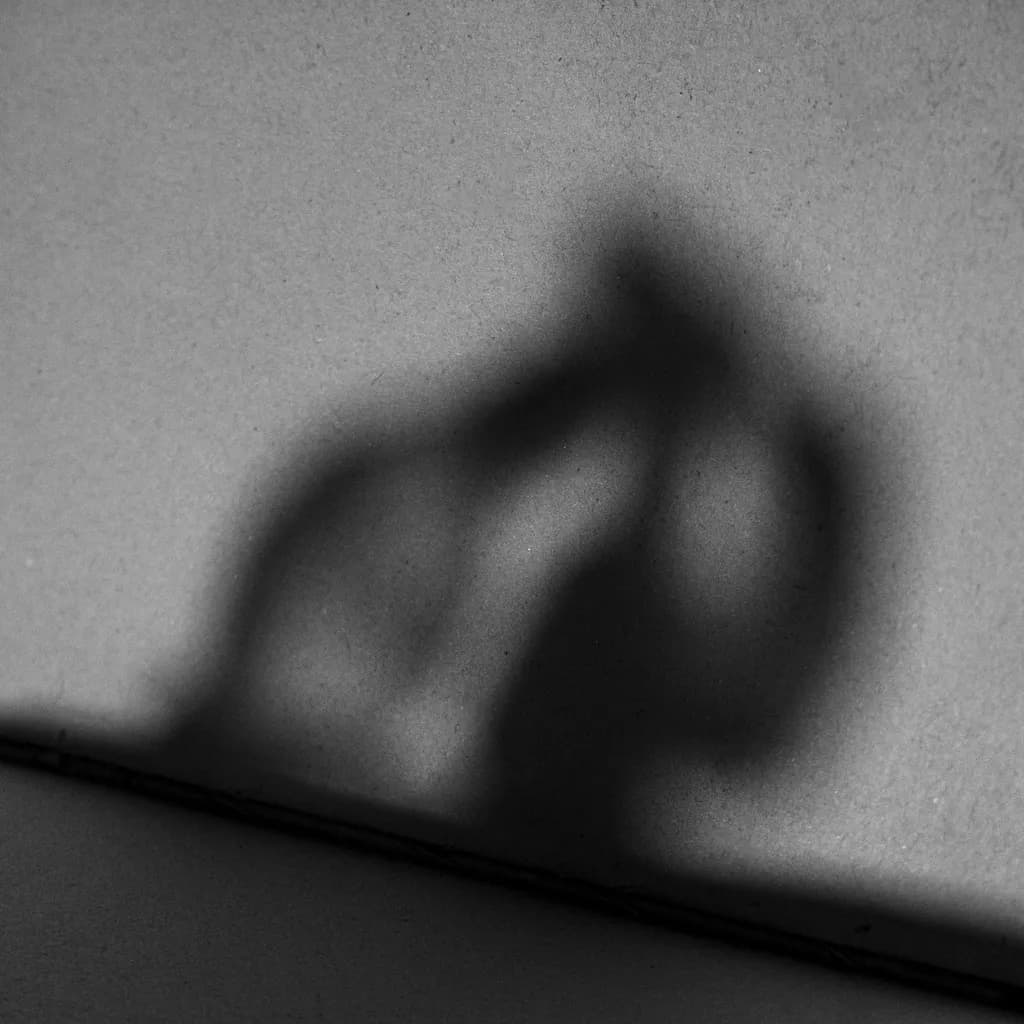 Shadow Play