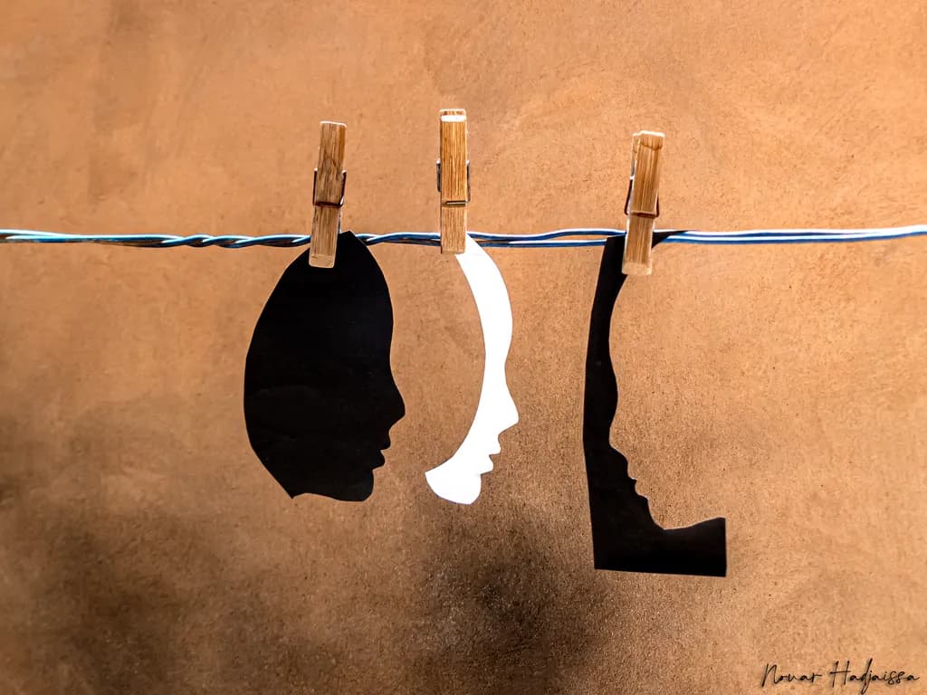 Silhouettes in Contrast