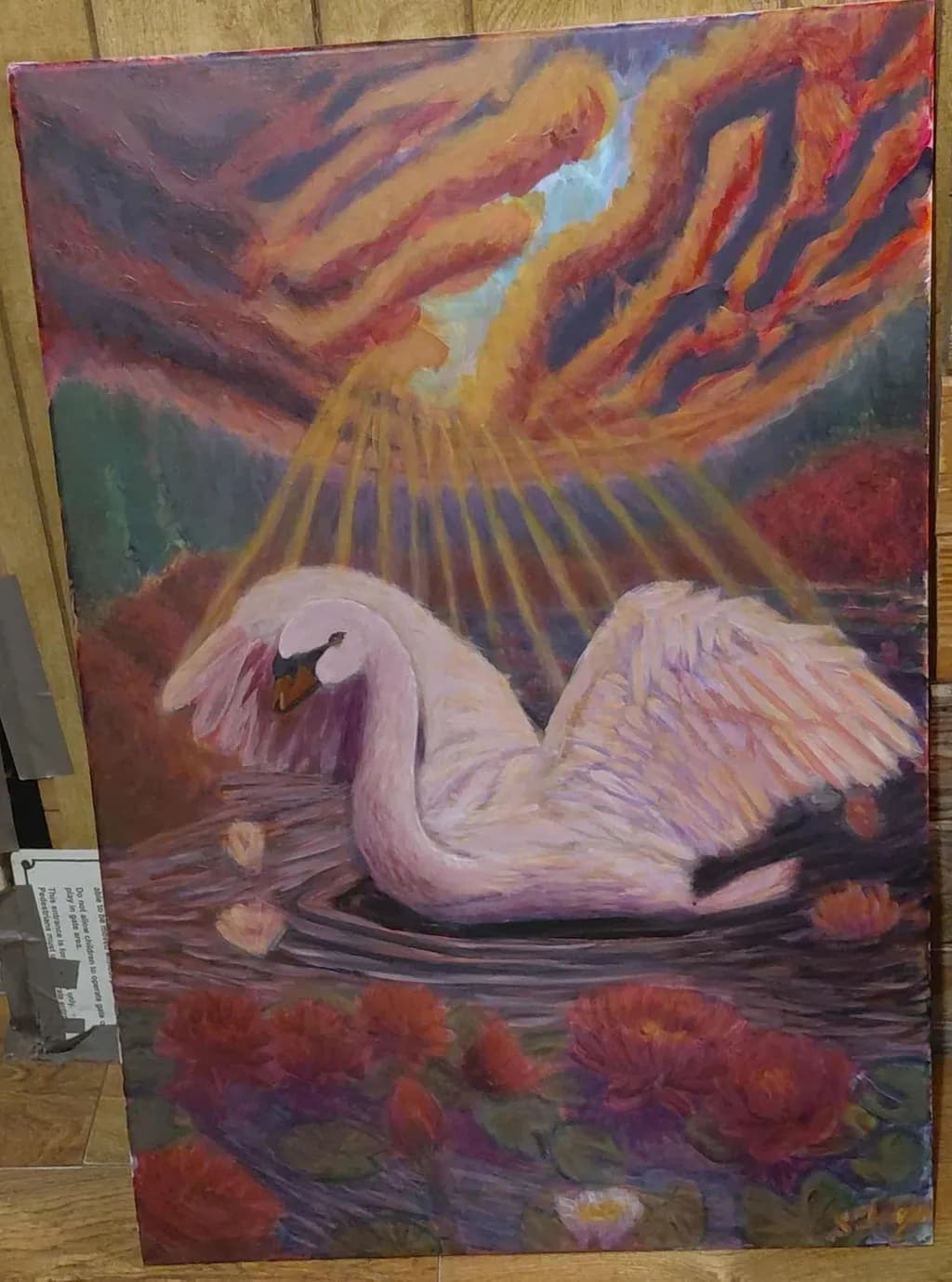 Swan's Reflection