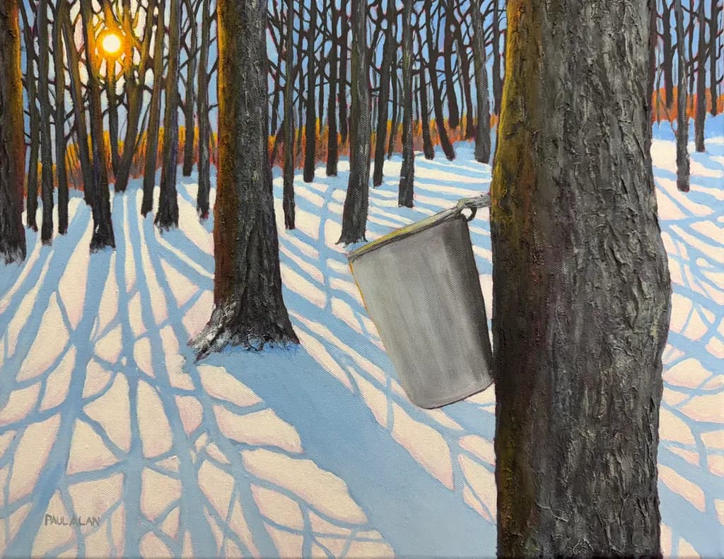 Winter's Embrace
