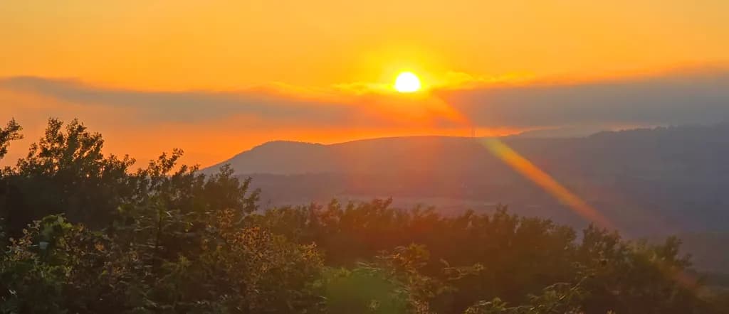 Golden Horizon Sunset