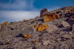 Black and Orange Mountain Rocks