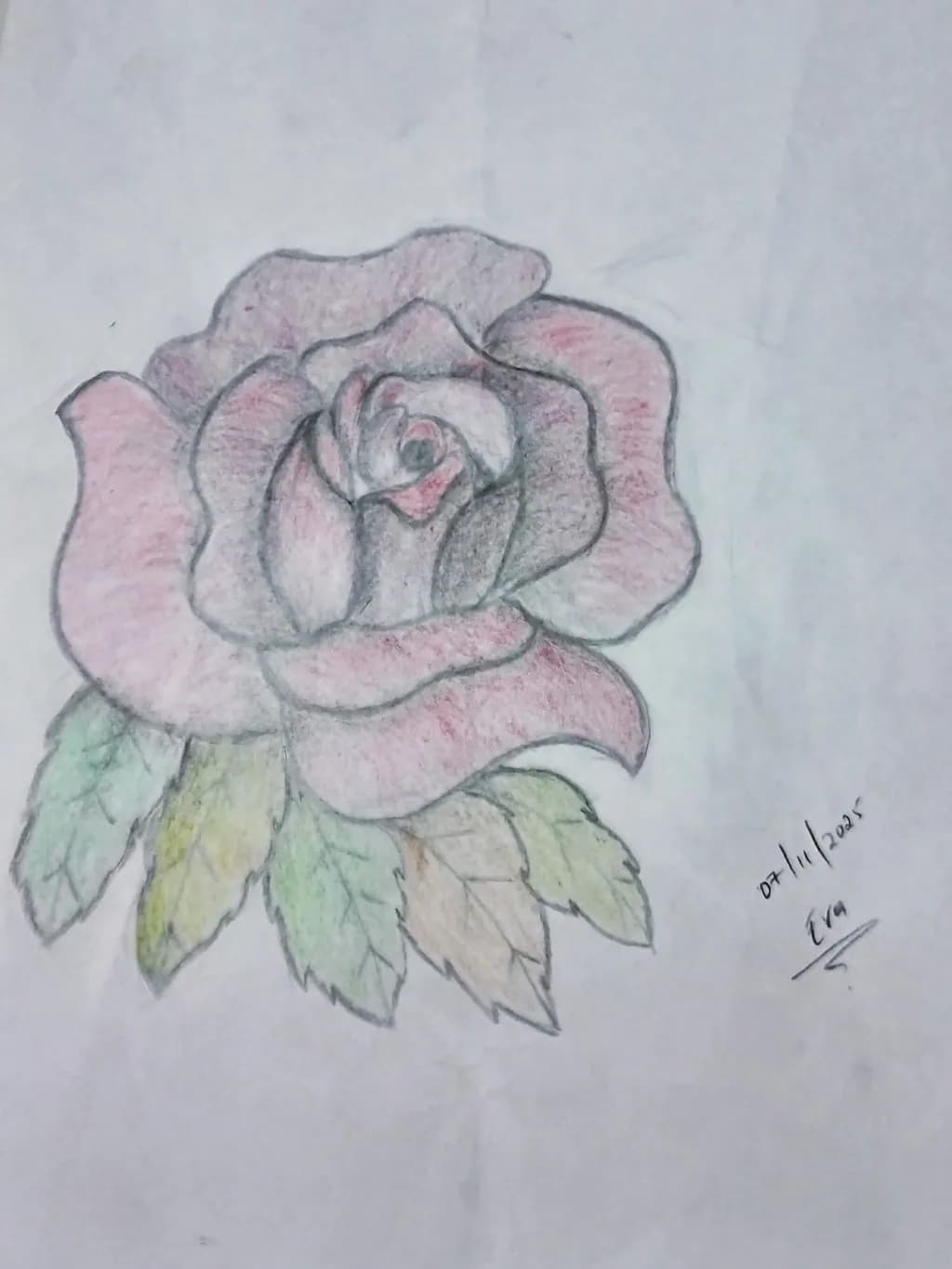 Whispers of a Rose: A Delicate Bloom in Pastel Hues