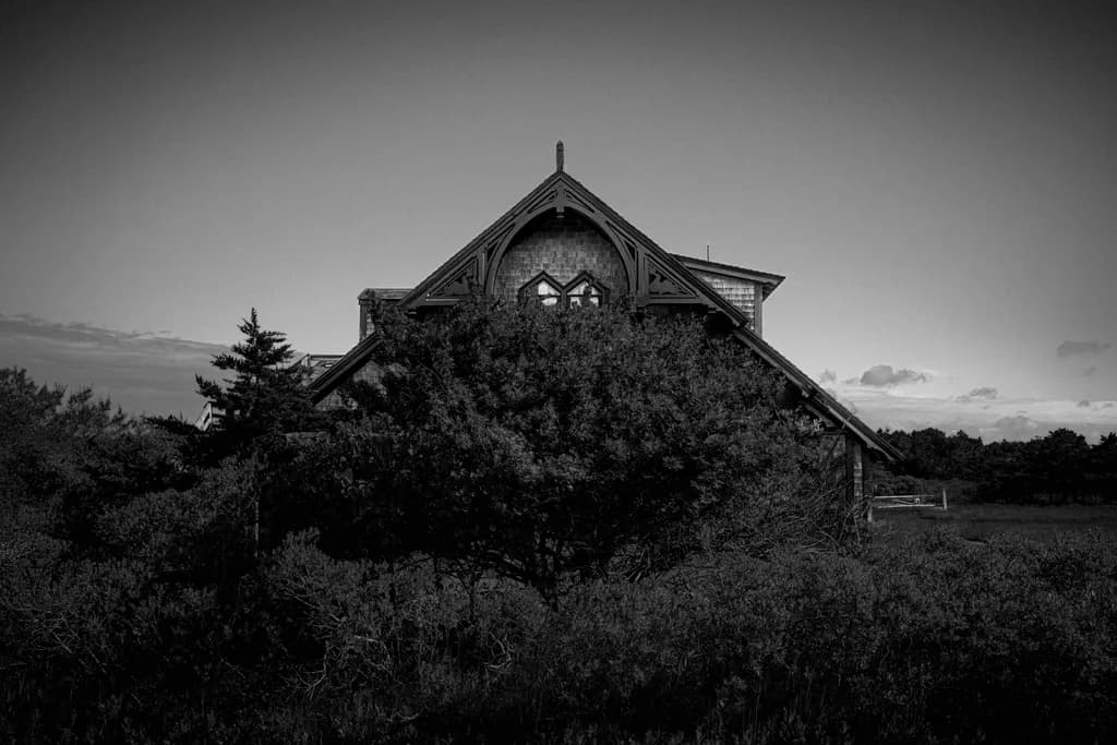 Whispers of Time: The Overgrown Elegance of an Abandoned Monochrome Sanctuary