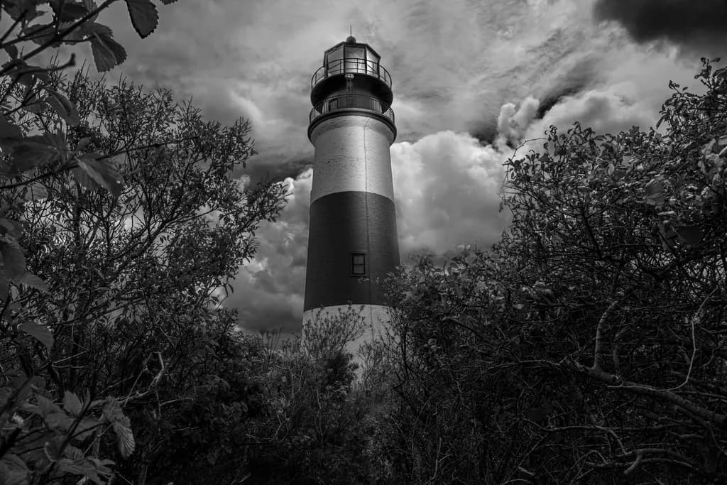 Whispers of the Monochrome Lighthouse: A Scenic Journey Through Nature's Embrace