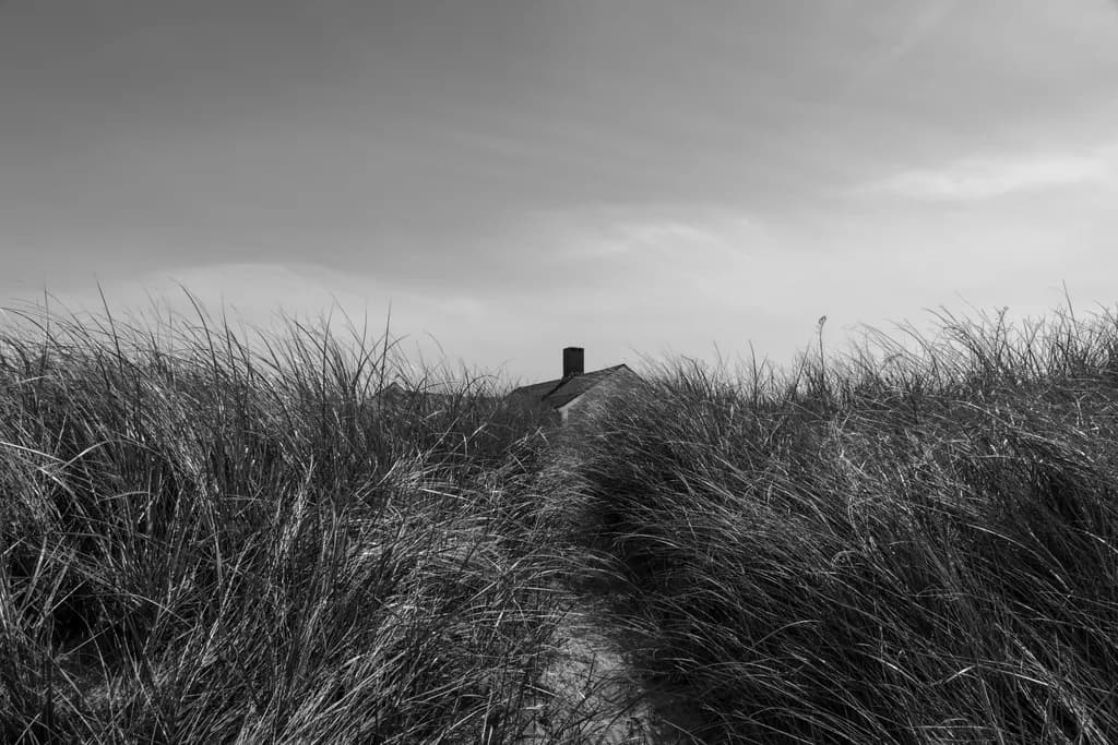 Whispers of Nature: A Monochrome Pathway Through Tall Grass to a Hidden Home