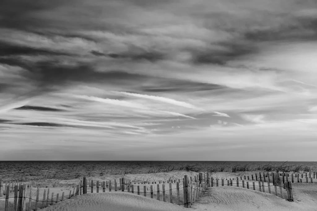 Whispers of the Shore: A Serene Black and White Coastal Landscape